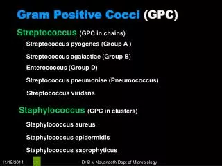 Gram Positive Cocci (GPC)