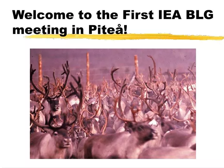 welcome to the first iea blg meeting in pite