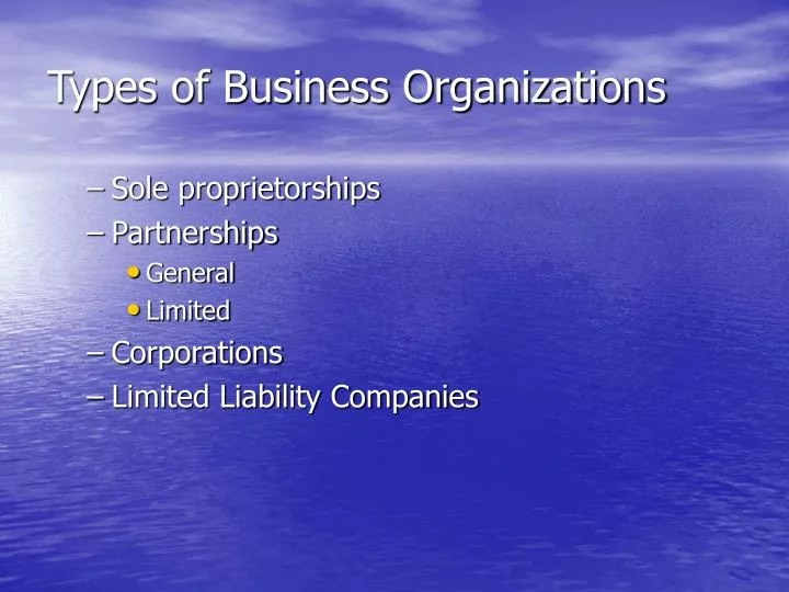 types of business organizations