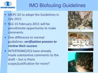 IMO Biofouling Guidelines