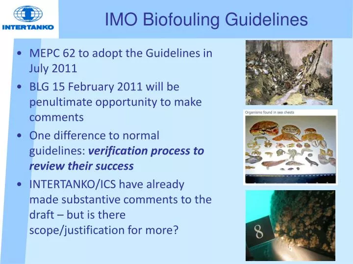 imo biofouling guidelines