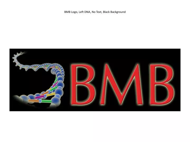 bmb logo left dna no text black background