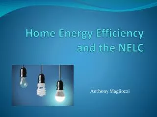 Home Energy Efficiency and the NELC