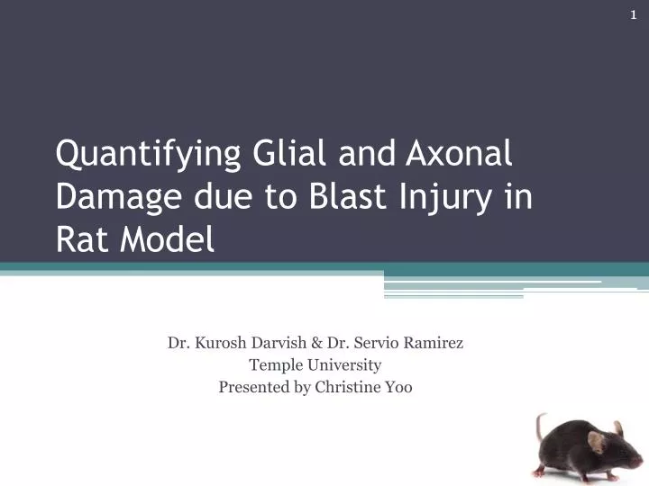 quantifying glial and axonal damage due to blast injury in rat model