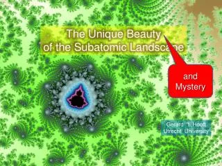 The Unique Beauty of the Subatomic Landscape