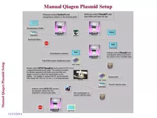 Manual Qiagen Plasmid Setup