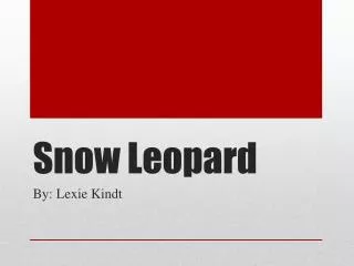 Snow Leopard