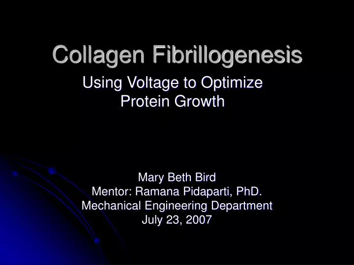 collagen fibrillogenesis