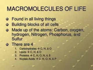 MACROMOLECULES OF LIFE