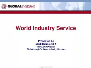 World Industry Service