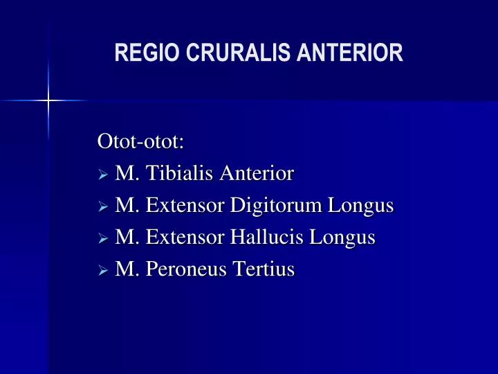 regio cruralis anterior