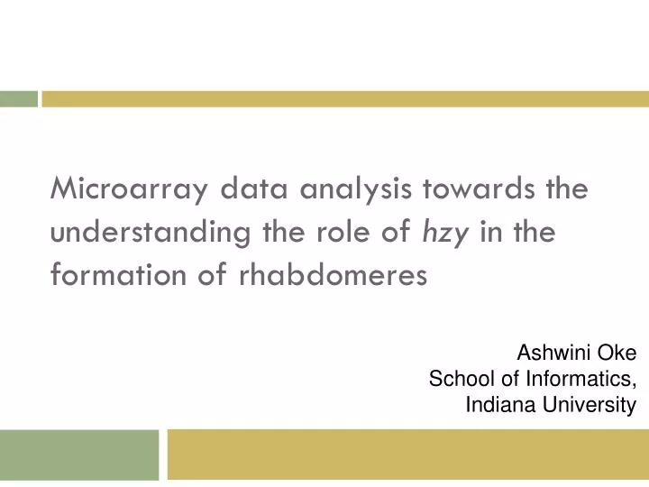 microarray data analysis towards the understanding the role of hzy in the formation of rhabdomeres