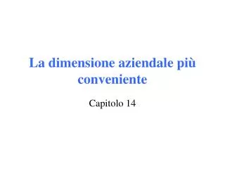 la dimensione aziendale pi conveniente