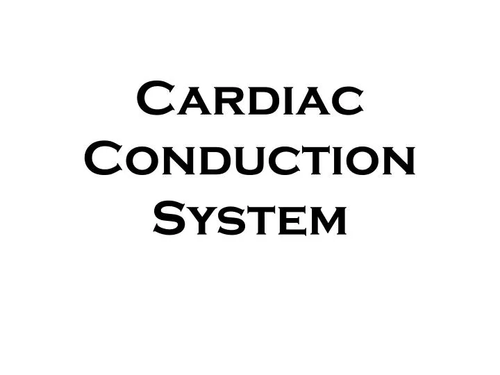cardiac conduction system
