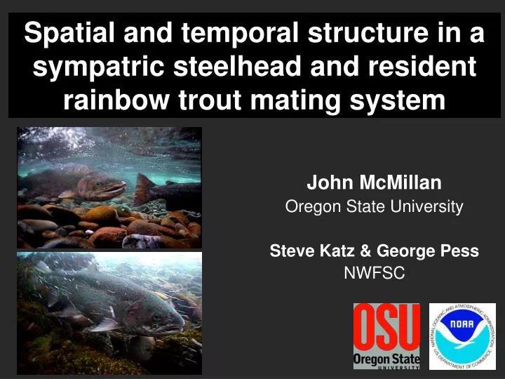 spatial and temporal structure in a sympatric steelhead and resident rainbow trout mating system