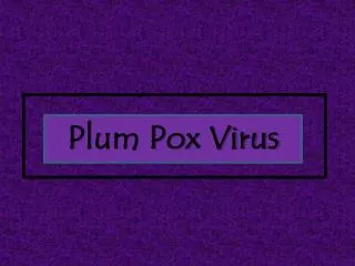Plum Pox Virus
