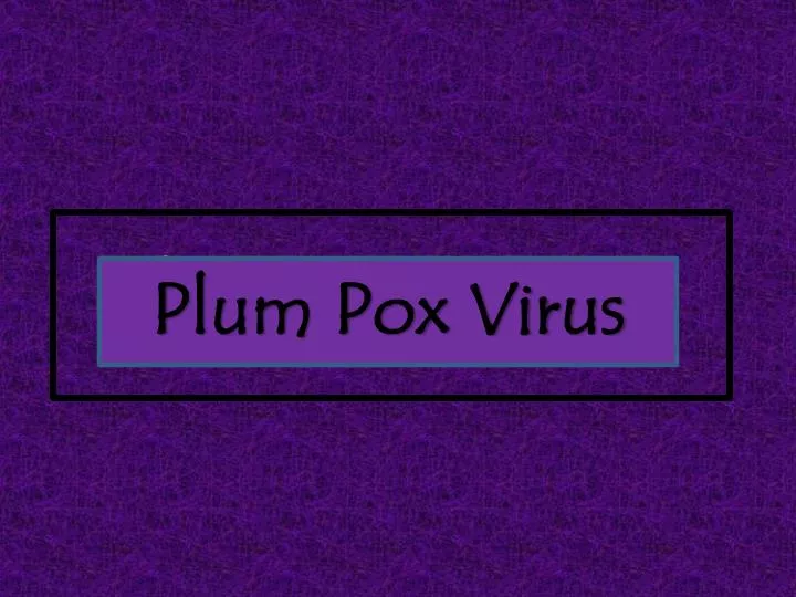 plum pox virus