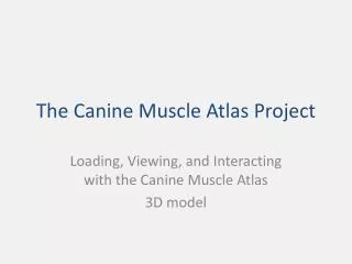 The Canine Muscle Atlas Project