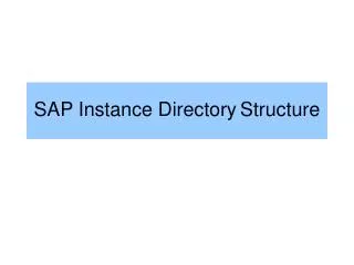 SAP Instance Directory Structure