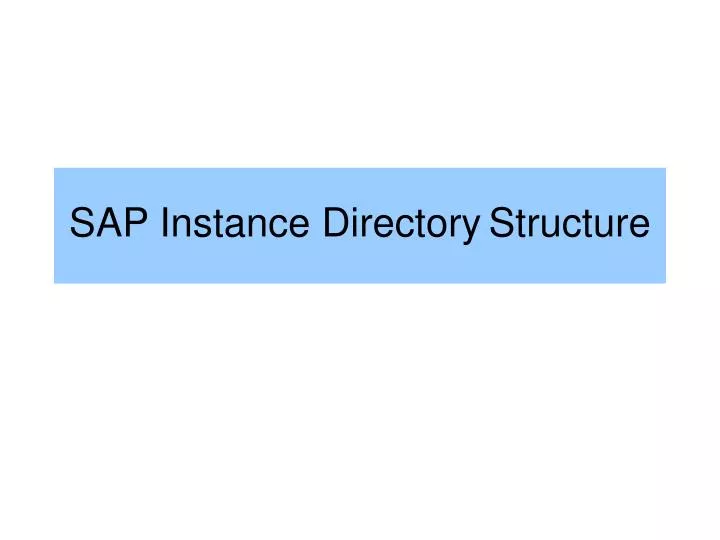 sap instance directory structure