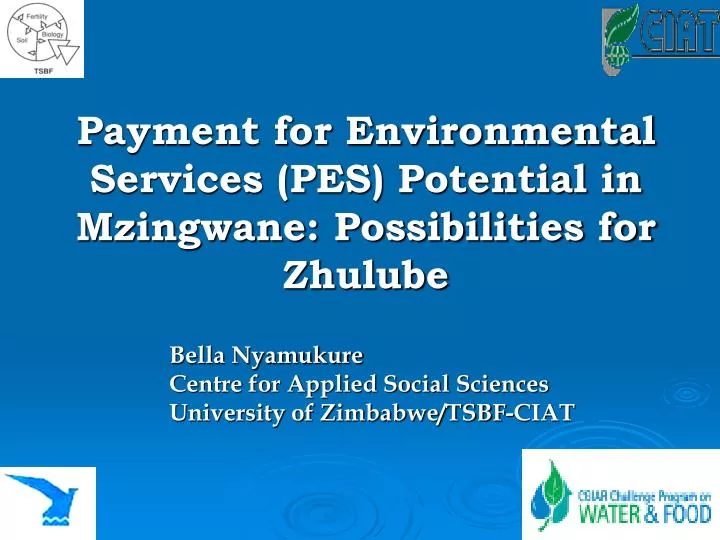 payment for environmental services pes potential in mzingwane possibilities for zhulube