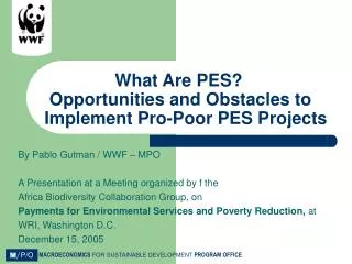 What Are PES? Opportunities and Obstacles to Implement Pro-Poor PES Projects