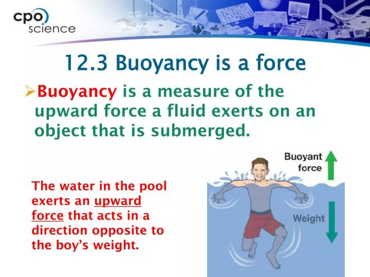 12 3 buoyancy is a force