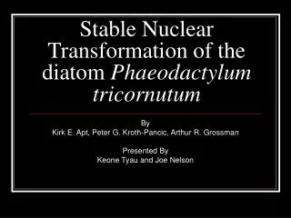 Stable Nuclear Transformation of the diatom Phaeodactylum tricornutum