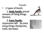 Fossils - slide 1