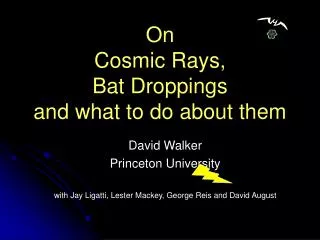 On Cosmic Rays, Bat Droppings and what to do about them