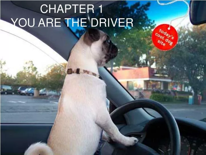 chapter 1 you are the driver