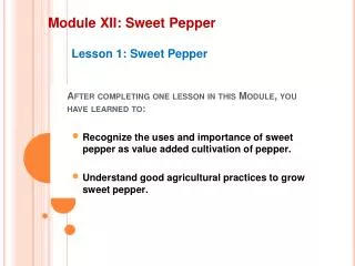Module XII: Sweet Pepper