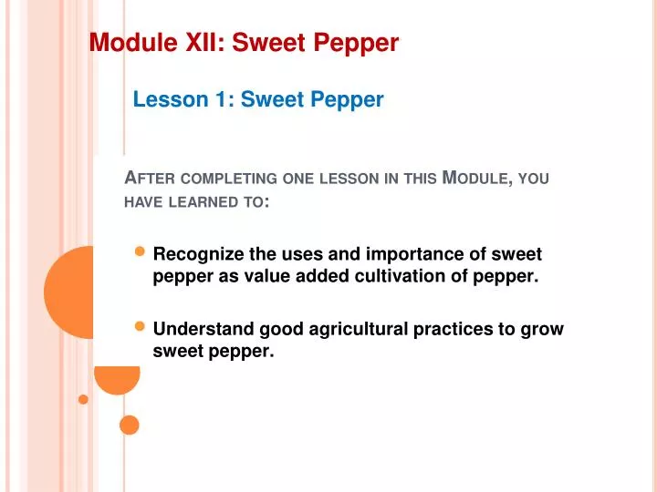 module xii sweet pepper