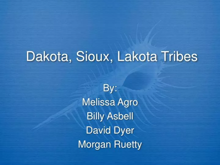 dakota sioux lakota tribes