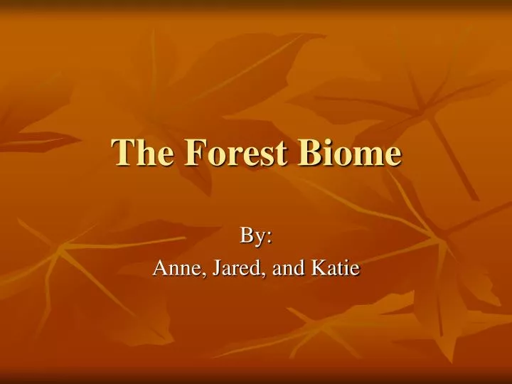 the forest biome