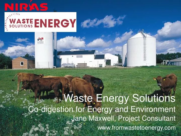 waste energy solutions co digestion for energy and environment jane maxwell project consultant