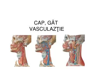 CAP, GÂT VASCULAZ ŢIE