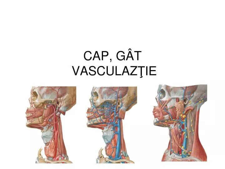 cap g t vasculaz ie