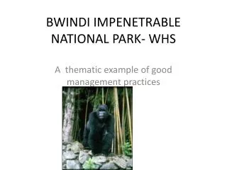 BWINDI IMPENETRABLE NATIONAL PARK- WHS