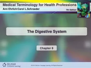 the digestive system