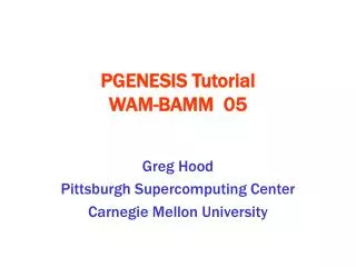 PGENESIS Tutorial WAM-BAMM 05