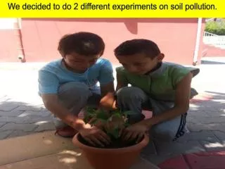 We decided to do 2 different experiments on soil pollution .