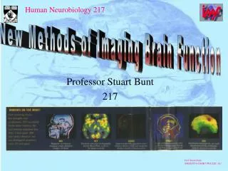 Professor Stuart Bunt 217