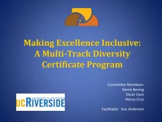 Making Excellence Inclusive: A Multi-Track Diversity Certificate Program
