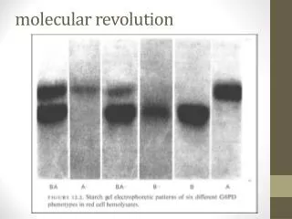 molecular revolution