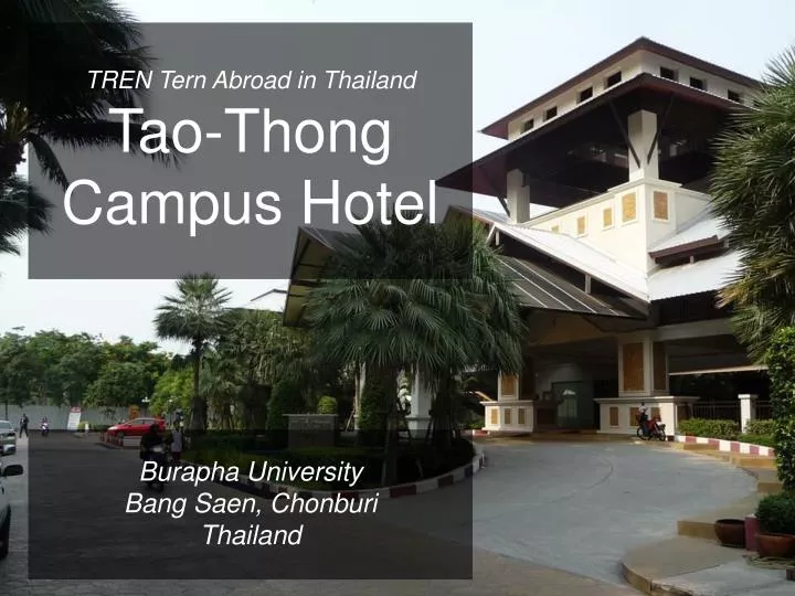 tren tern abroad in thailand tao thong campus hotel