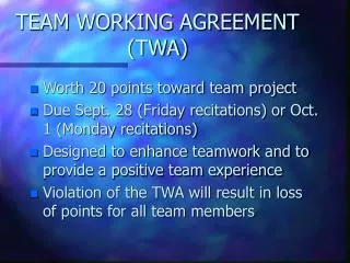 TEAM WORKING AGREEMENT (TWA)