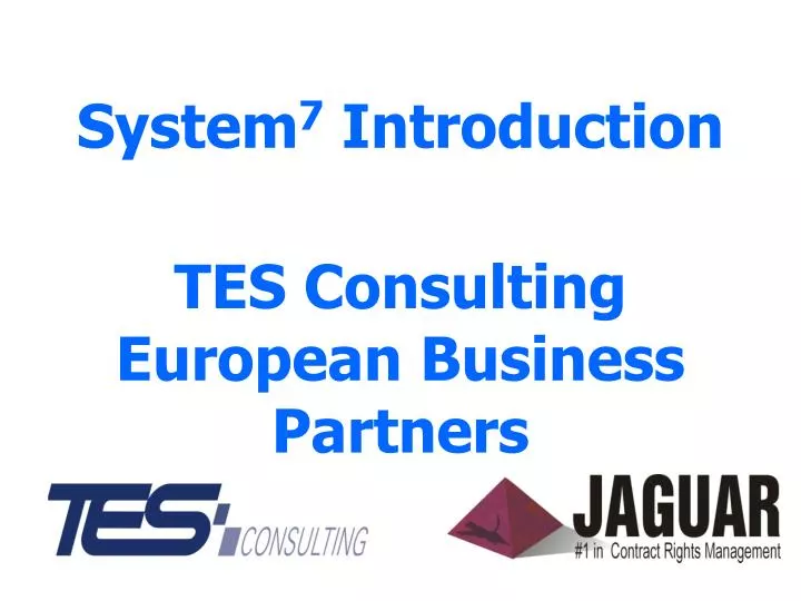 system 7 introduction tes consulting european business partners