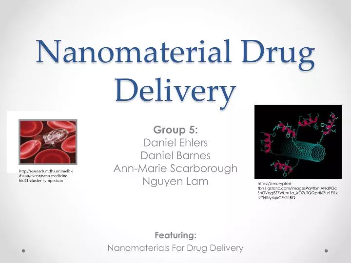 nanomaterial drug delivery