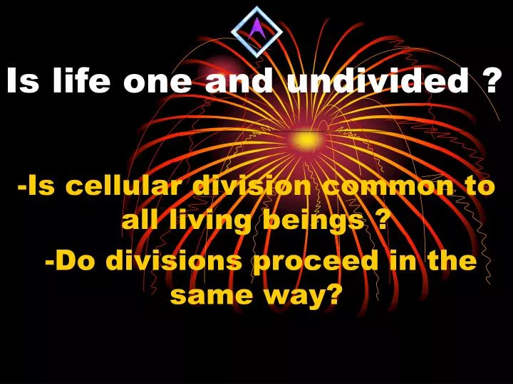 is life one and undivided